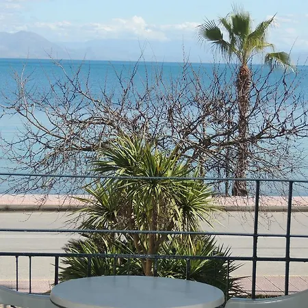 Cactus Apartment Ipsos